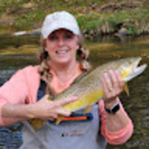 Meet your Posher, Ann